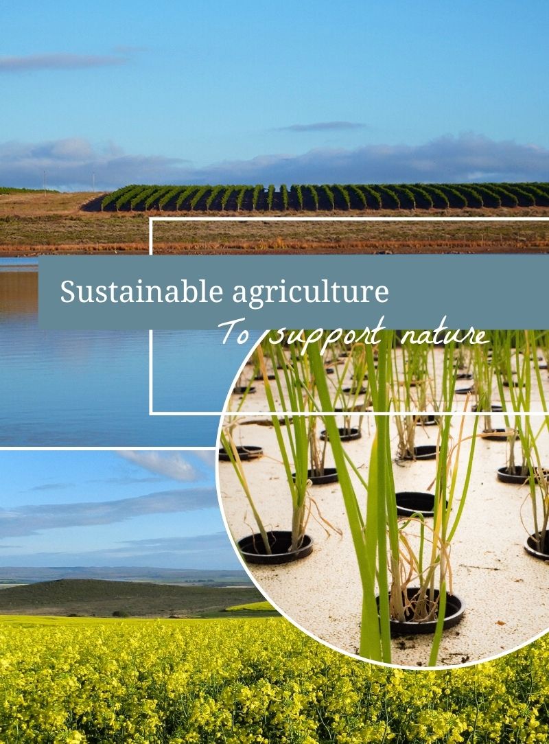 Sustainable agriculture