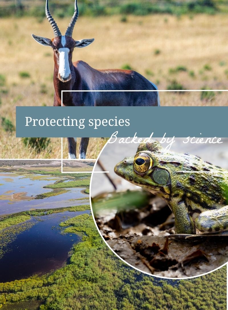 Threatened species (1)