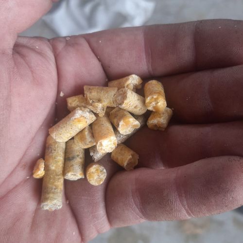 Pellets power Agulhas Plains wetlands restoration