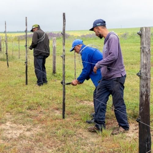 What does it take to care for 47 000 hectares?